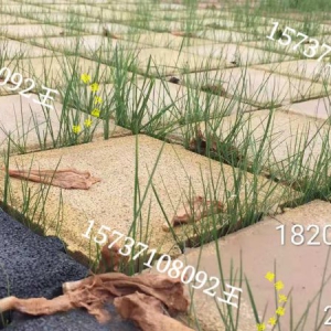 �p϶ʽ͸ˮ�u